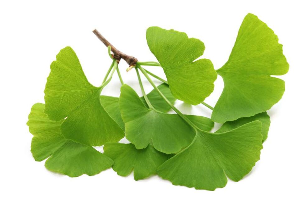 kapsüllerde gingko biloba Glucoren